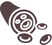 Protocol icon