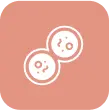 Exosomes
