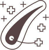 Protocol icon